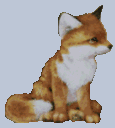 foxkub.gif (6011 bytes)